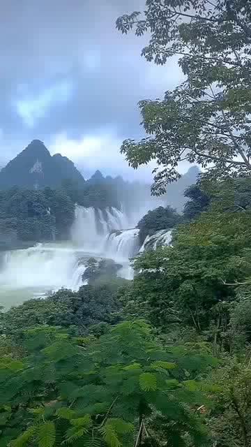 救援聪明男子